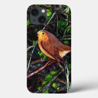 Robin Tweet tweet  iPhone 13 Case