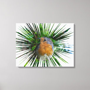 Robin up close canvas print