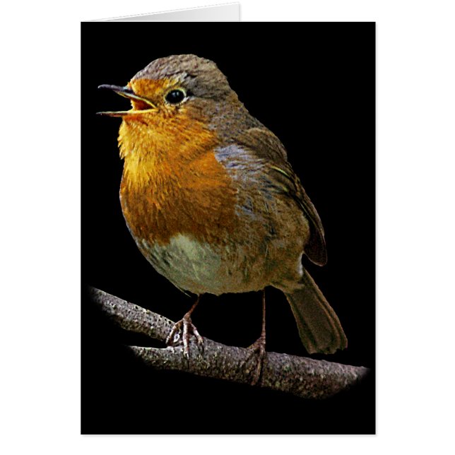Robin Vertical Card (Front)