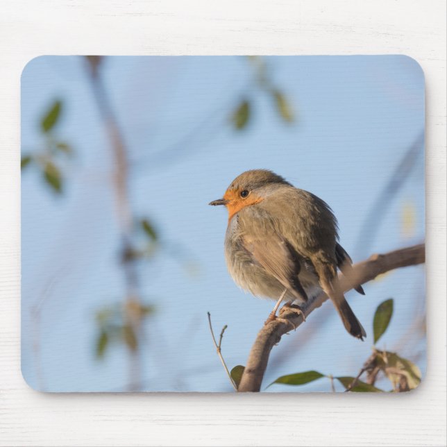 Robin Wildlife photo Mouse Mat (Front)