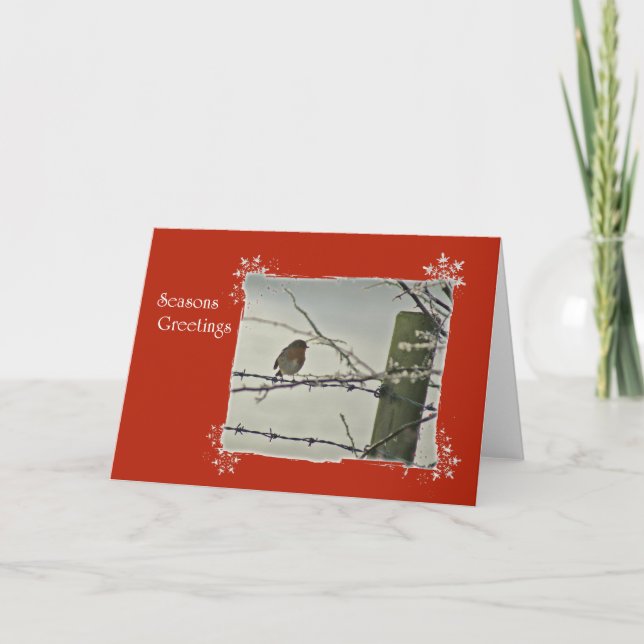 Robin winter scene holiday card (Front)