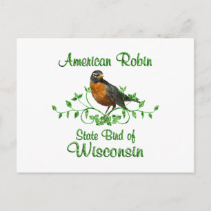 Robin Wisconsin Bird Postcard
