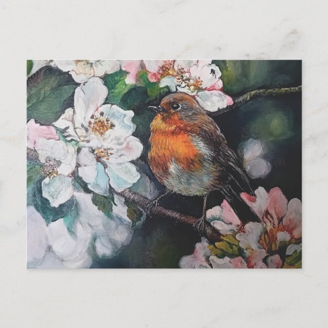 Robin with cherry blossom postcard (Front)