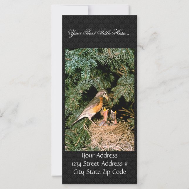 Robin with Chicks (Front)