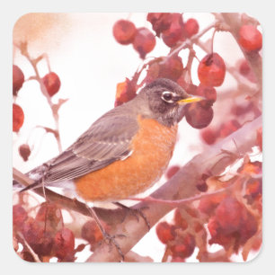 Robin With Red Berries Square Sticker