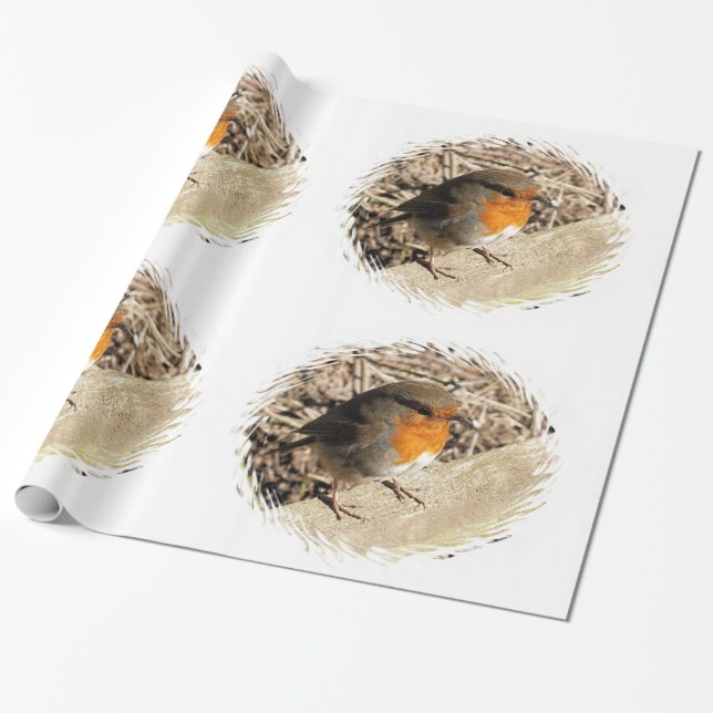 ROBIN WRAPPING PAPER (Unrolled)