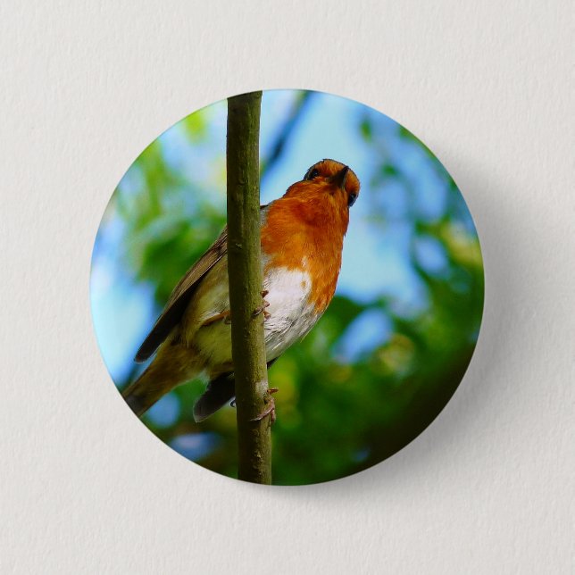 ROBINS 6 CM ROUND BADGE (Front)