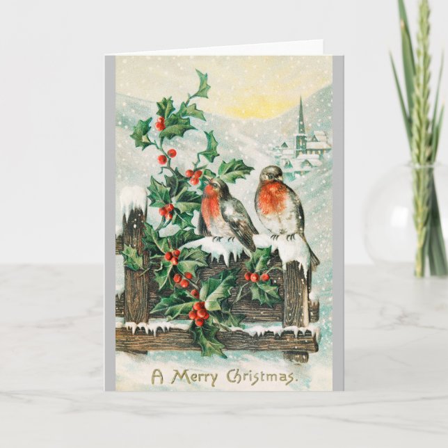Robins and hollyberry - Vintage Christmas Postcard (Front)