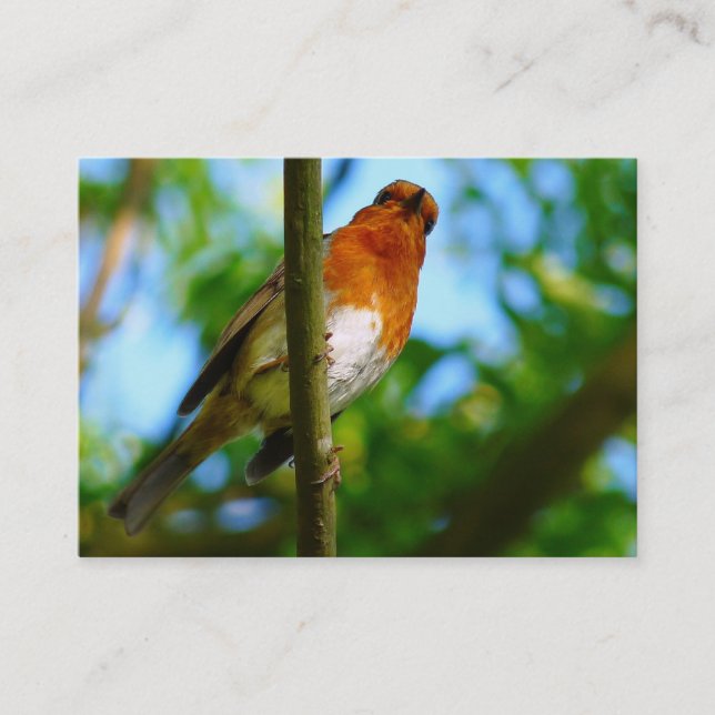 ROBINS BUSINESS CARD (Front)