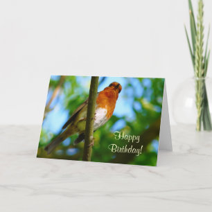 ROBINS CARD