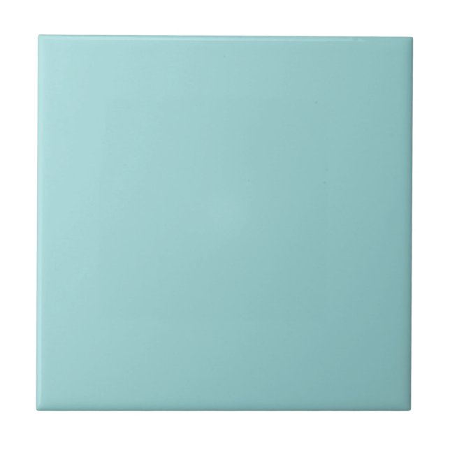 Robin's Egg Blue Decor Tile (Front)