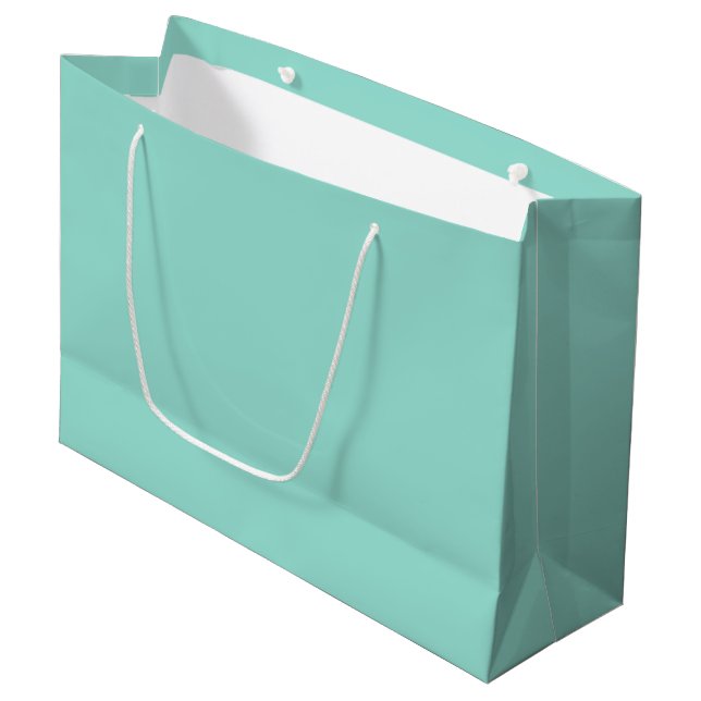 Robin's Egg Blue Large Gift Bag (Front Angled)