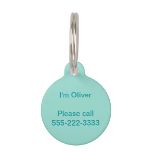 Robin's Egg Blue Solid Colour Pet Tag