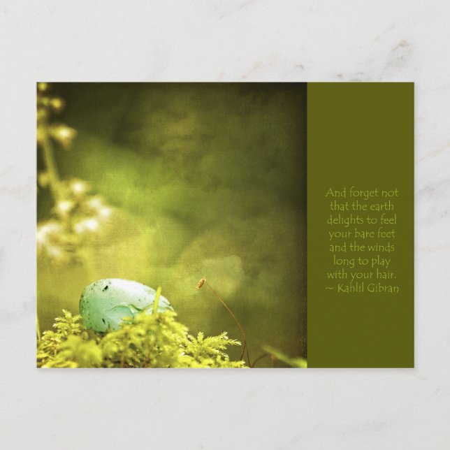 Robins Egg on Moss Photo with Inspirational Quote Postcard (Front)