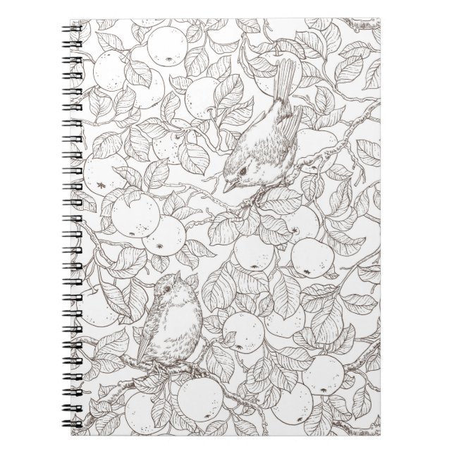 Robins in the apple tree/umber and white notebook (Front)