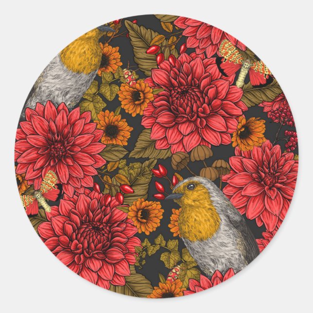 Robins in the autumn garden, red dahlias on black classic round sticker (Front)