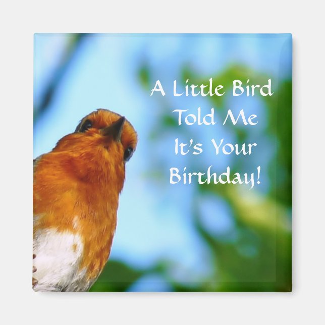 ROBINS MAGNET (Front)