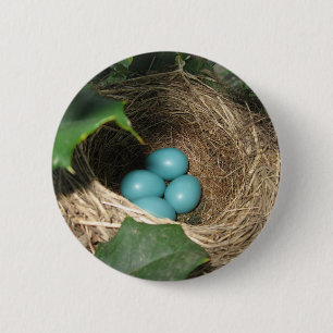 Robin's Nest Button