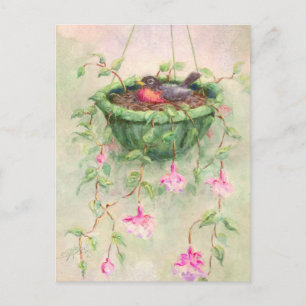 ROBIN'S NEST by SHARON SHARPE Postcard