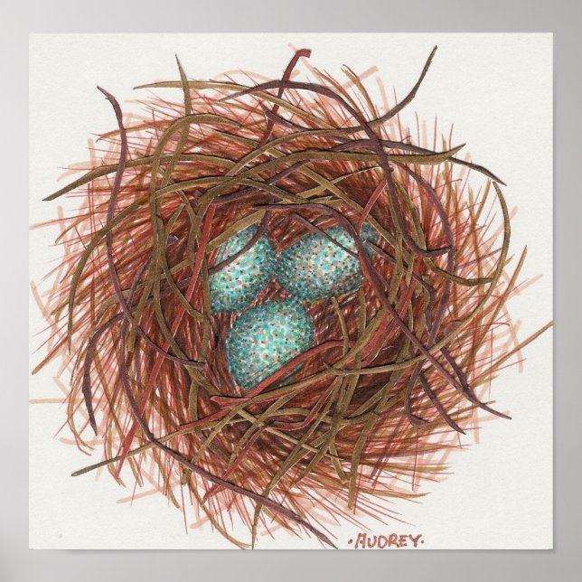 Robin's Nest Poster (Front)