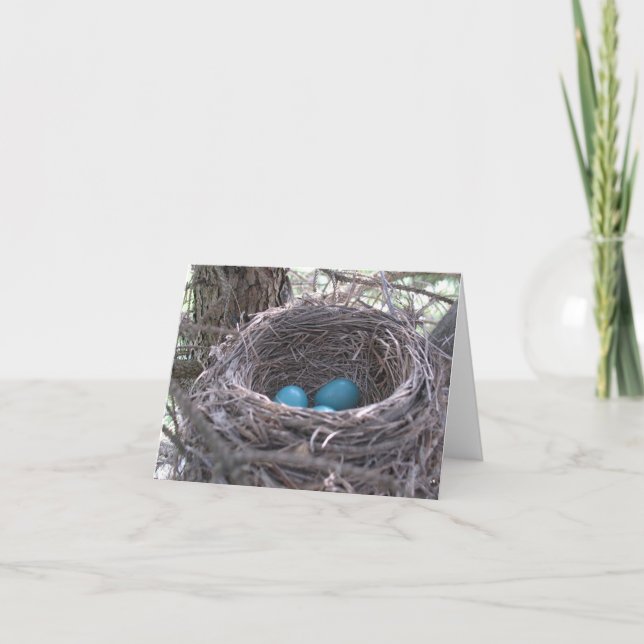 Robin's Nest with Blue Eggs blank note card (Front)