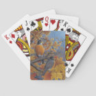 Robins Playing Cards