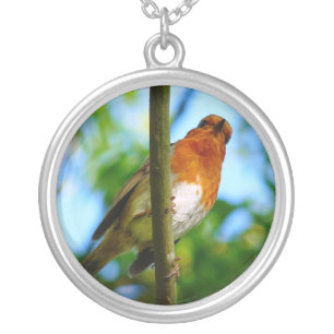 ROBINS SILVER PLATED NECKLACE