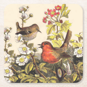 Robins Spring birds Square Paper Coaster
