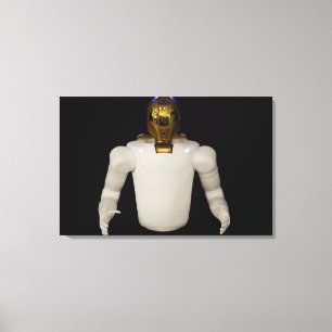 Robonaut 2, a dexterous, humanoid astronaut hel 5 canvas print