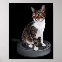 Robot Cat Vacuum Cleaner Feline Animal Cute Cat 