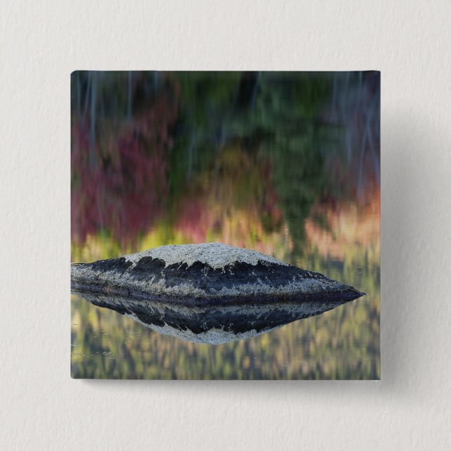 Rock and tree reflection, Lily Pond, White 15 Cm Square Badge (Front)