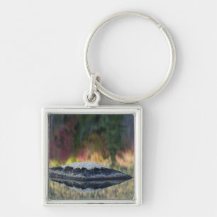 Rock and tree reflection, Lily Pond, White Key Ring