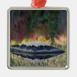 Rock and tree reflection, Lily Pond, White Metal Tree Decoration