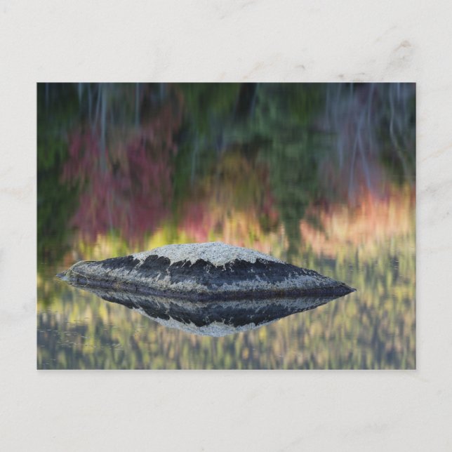 Rock and tree reflection, Lily Pond, White Postcard (Front)