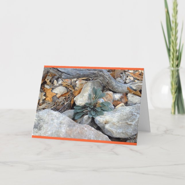 "Rock Art #5" Card (Front)
