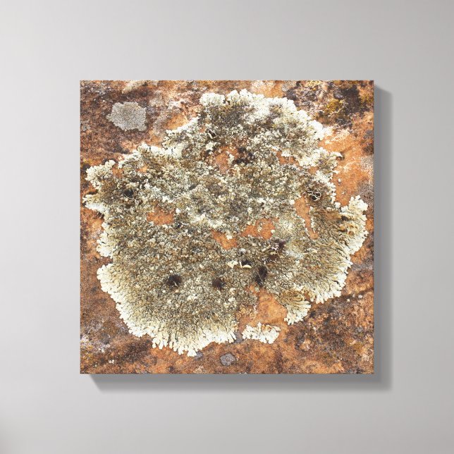 Rock Art - The Art in Nature Canvas Print (Front)