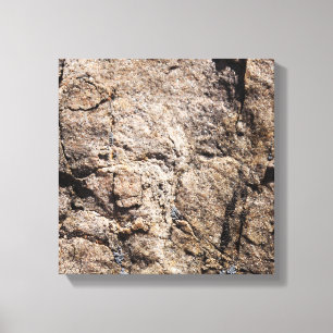 Rock Art - The Art of Nature Canvas Print