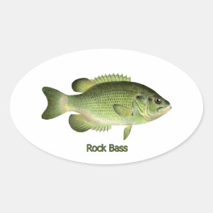 Rock Bass - Redeye Oval Sticker