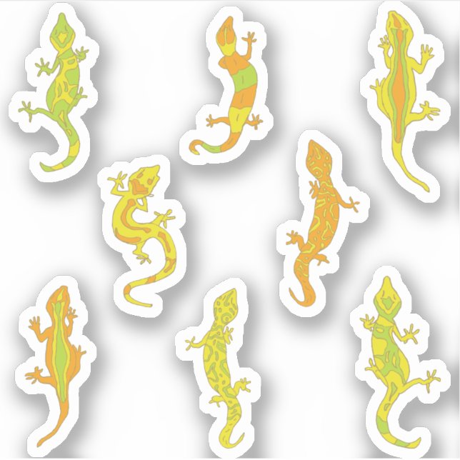 Rock Climbing Geckos. (Front)