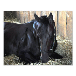 Rock Fall by Speightstown - Renda Photo Print