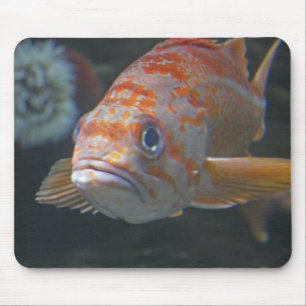 Rock Fish Mouse Mat