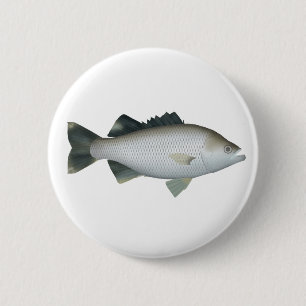 Rock Flagtail 6 Cm Round Badge