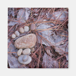 Rock Footprint Magnet