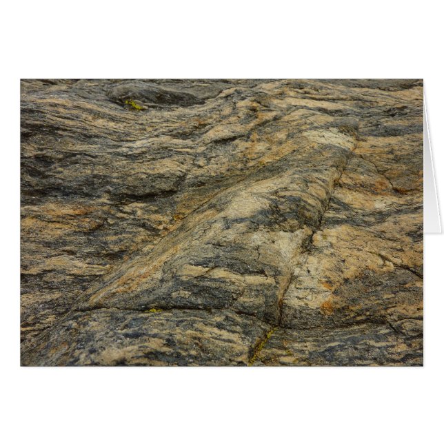 Rock from Joshua Tree Abstract Nature Photography (Front Horizontal)