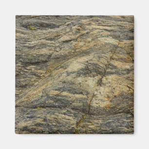 Rock from Joshua Tree Magnet