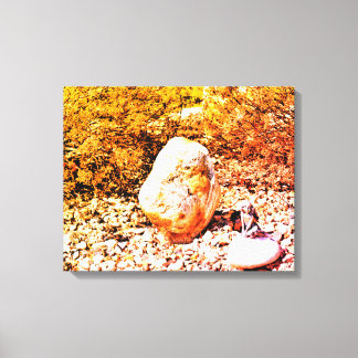 Rock Garden Fairy Canvas Print