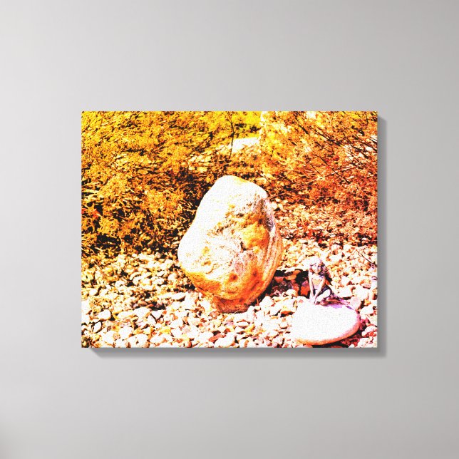 Rock Garden Fairy Canvas Print (Front)