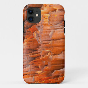 Rock Hoodoos in Morning Light iPhone 11 Case