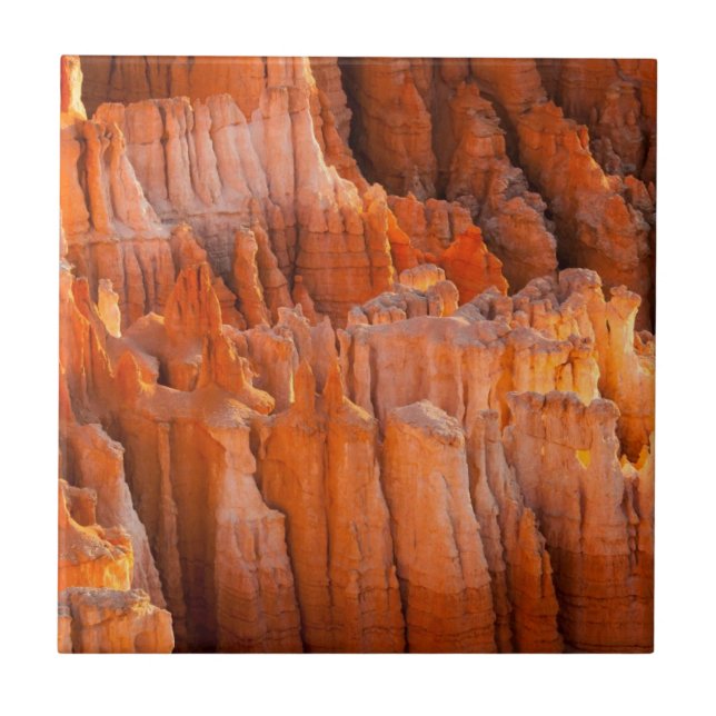 Rock Hoodoos in Morning Light Tile (Front)
