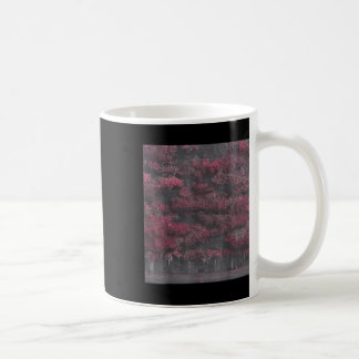 Rock In Vintage Arcadia Gift For Men And Women Coffee Mug